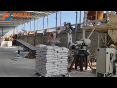 Soudage par points utilisé manipulant le robot de palletisation Yaskawa ES165N de sac