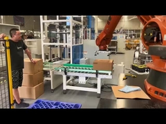 Robot de collaboration Palletizer Yaskawa MPL500 d'axe automatique de la boîte quatre