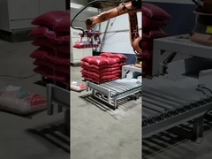 Robots de KR16 KR60 KR210 KR240 KR360 KR500 Kuka pour le chargement de palletisation de soudure