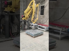 Emballage de palletisation automatique de Yaskawa MPL500 d'axe du bras 4 de robot et robots de palletisation