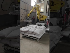 Cas robotique robotique utilisé automatique Palletizer de Palletizer Yaskawa MPL800